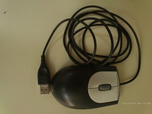 mouse1